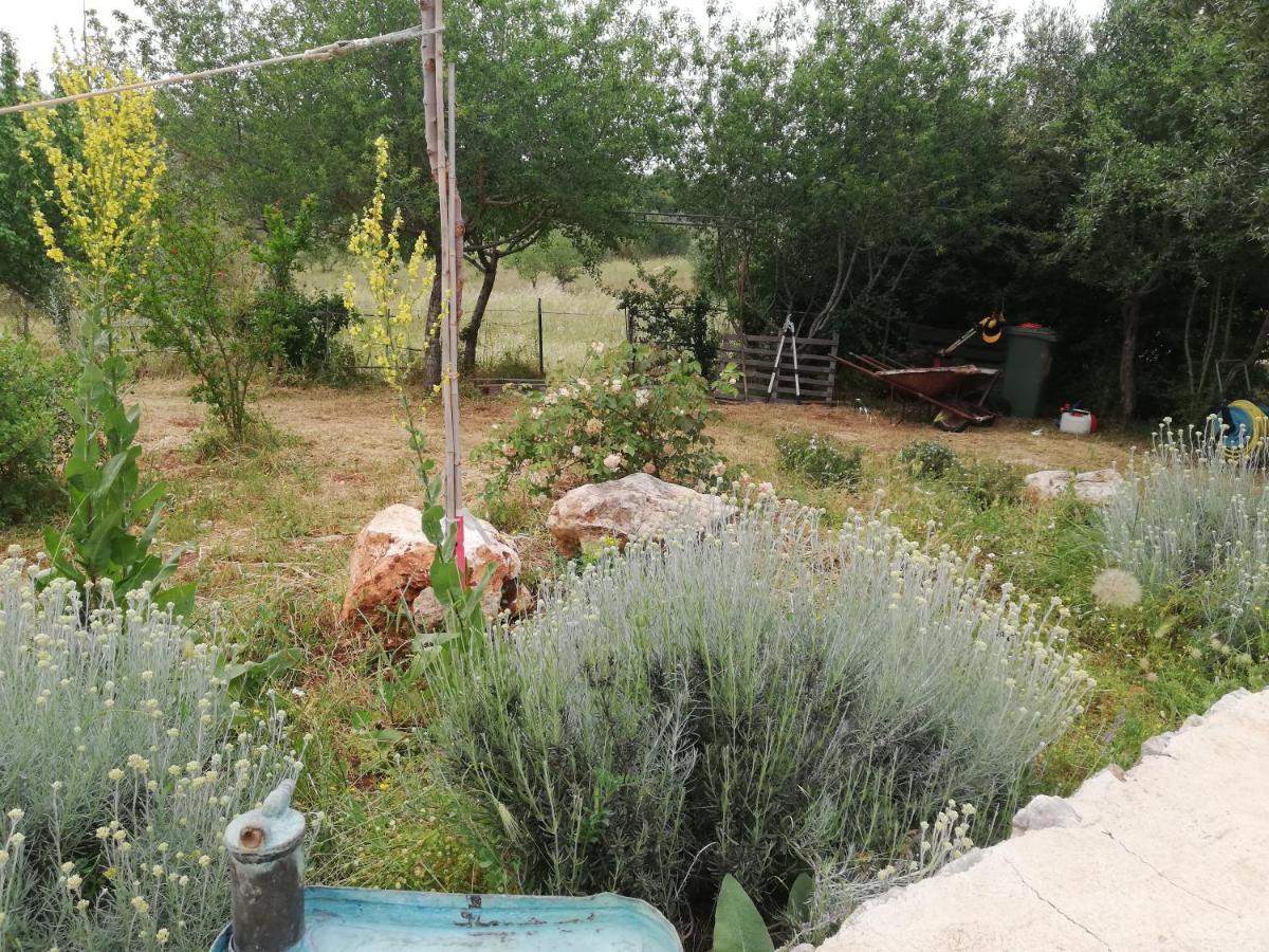 B&B Giovannarolla Green House Ostuni Exteriör bild