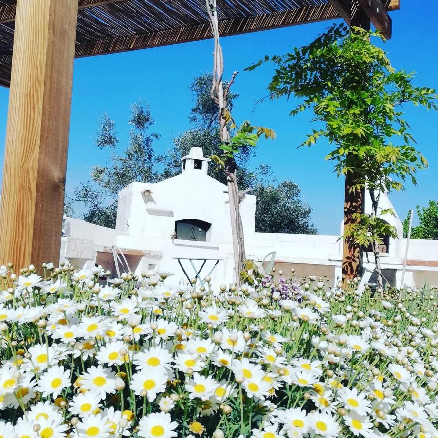 B&B Giovannarolla Green House Ostuni Exteriör bild