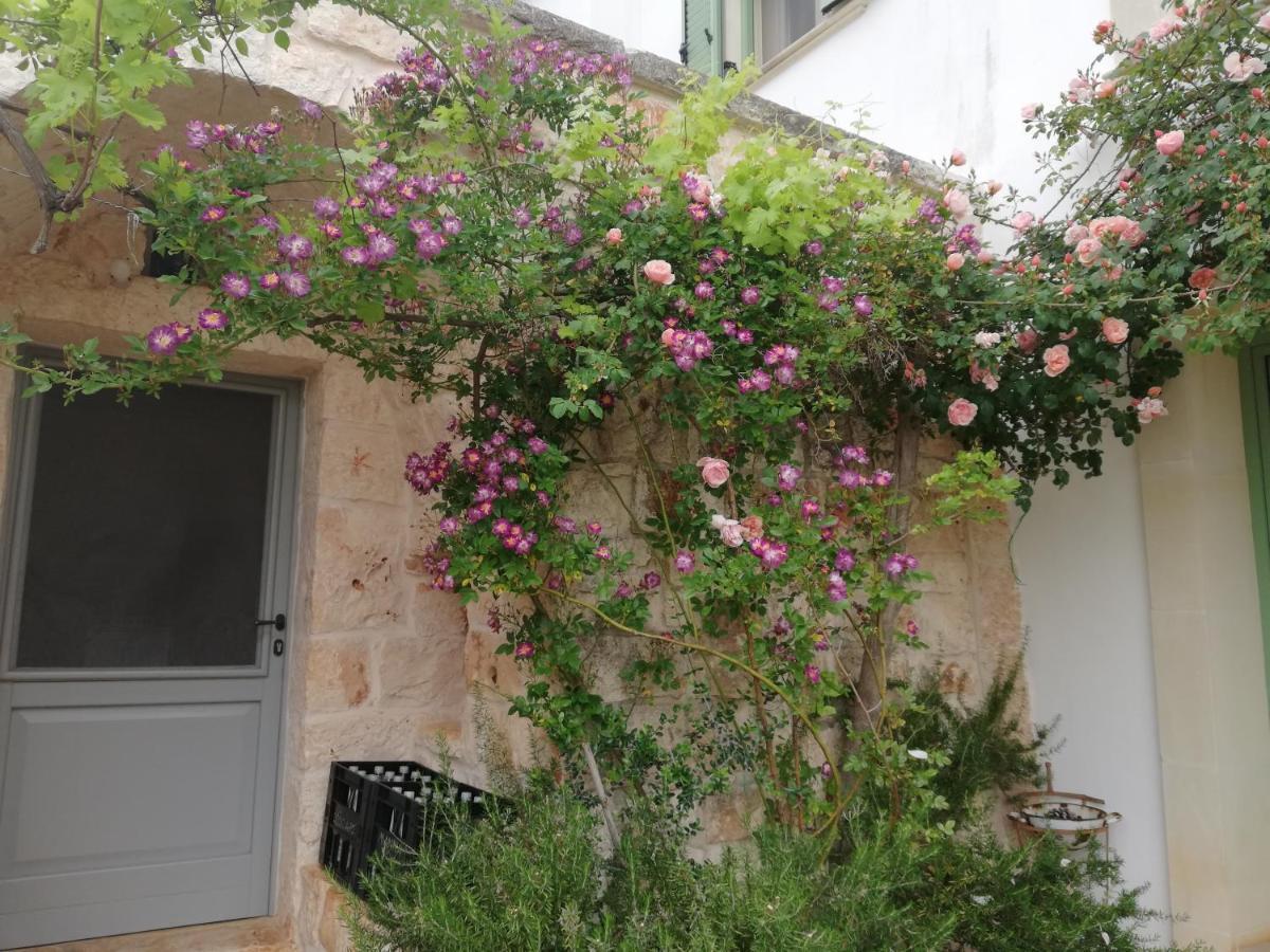 B&B Giovannarolla Green House Ostuni Exteriör bild