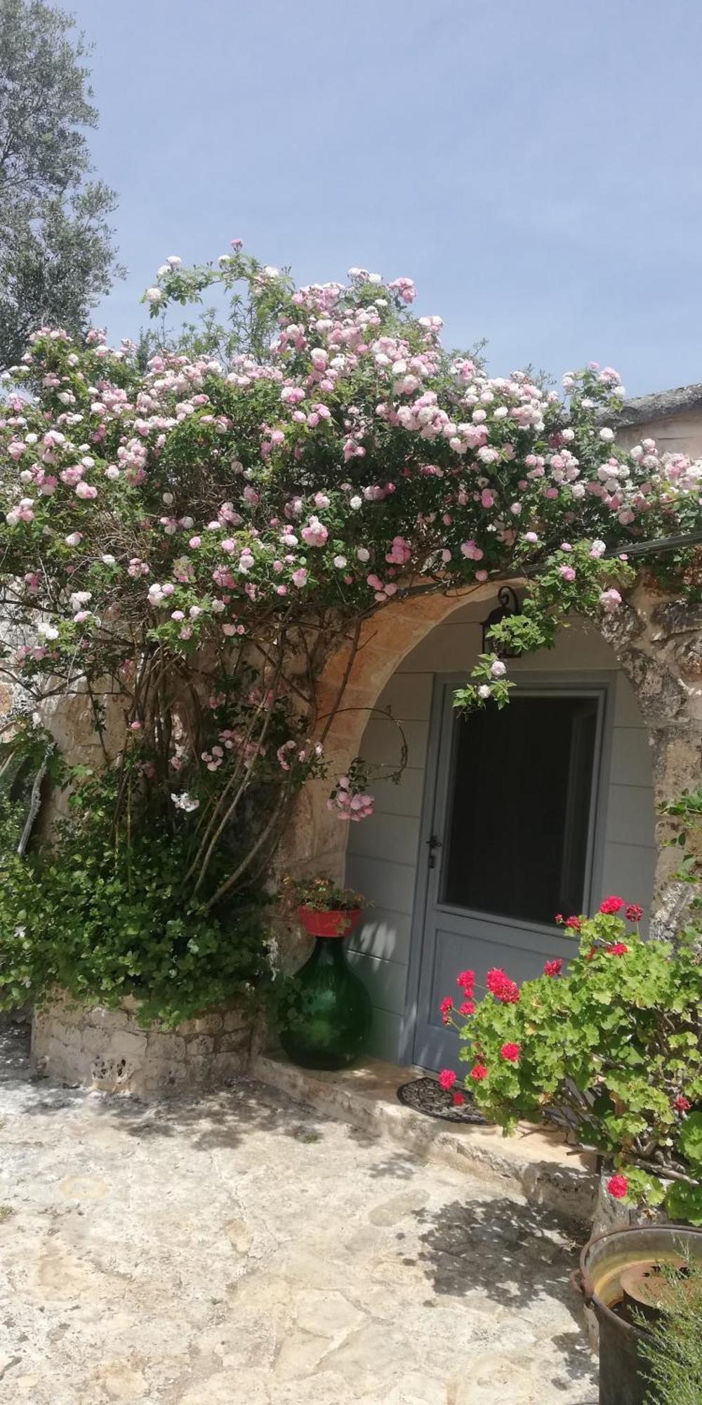 B&B Giovannarolla Green House Ostuni Exteriör bild