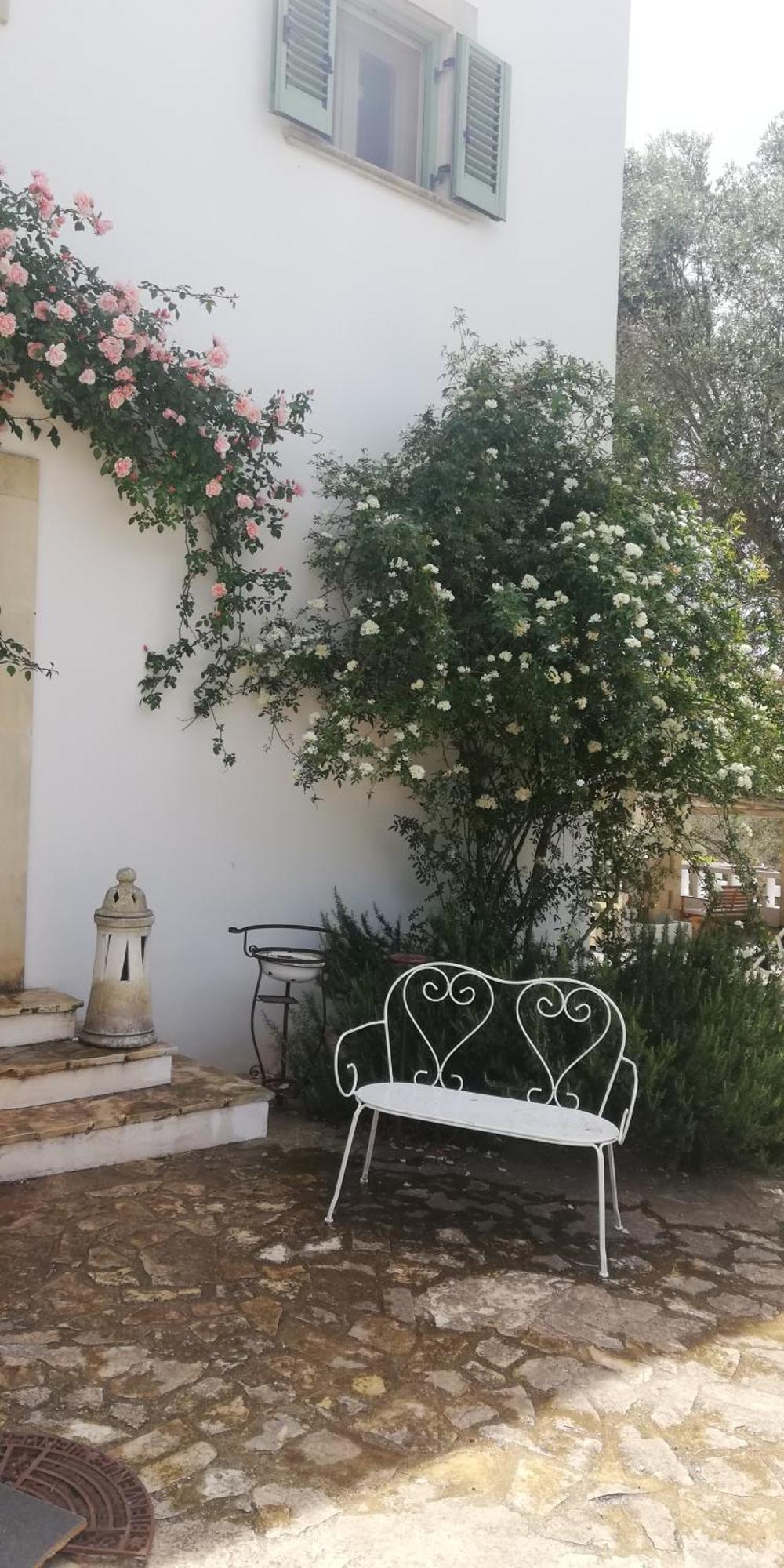 B&B Giovannarolla Green House Ostuni Exteriör bild