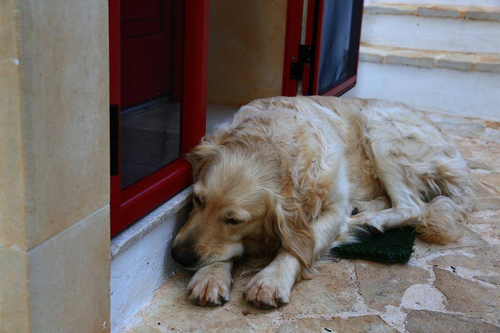 B&B Giovannarolla Green House Ostuni Exteriör bild